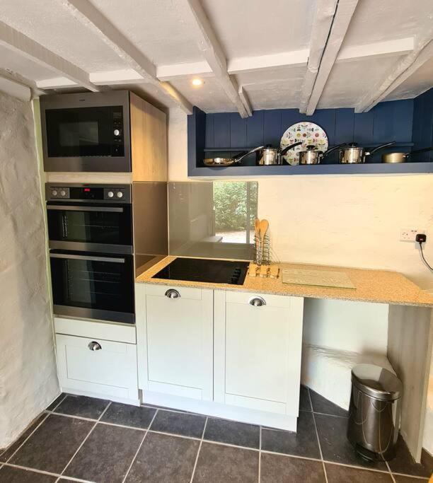 Mill Cottage Garden Annexe Newton Abbot Exterior foto