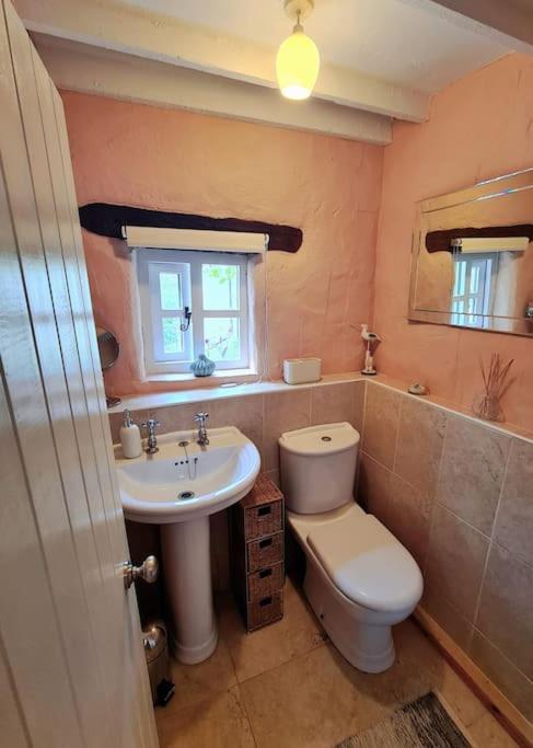 Mill Cottage Garden Annexe Newton Abbot Exterior foto